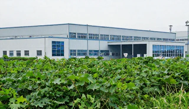 技术问题在实际应用中的应对策略与维护建议